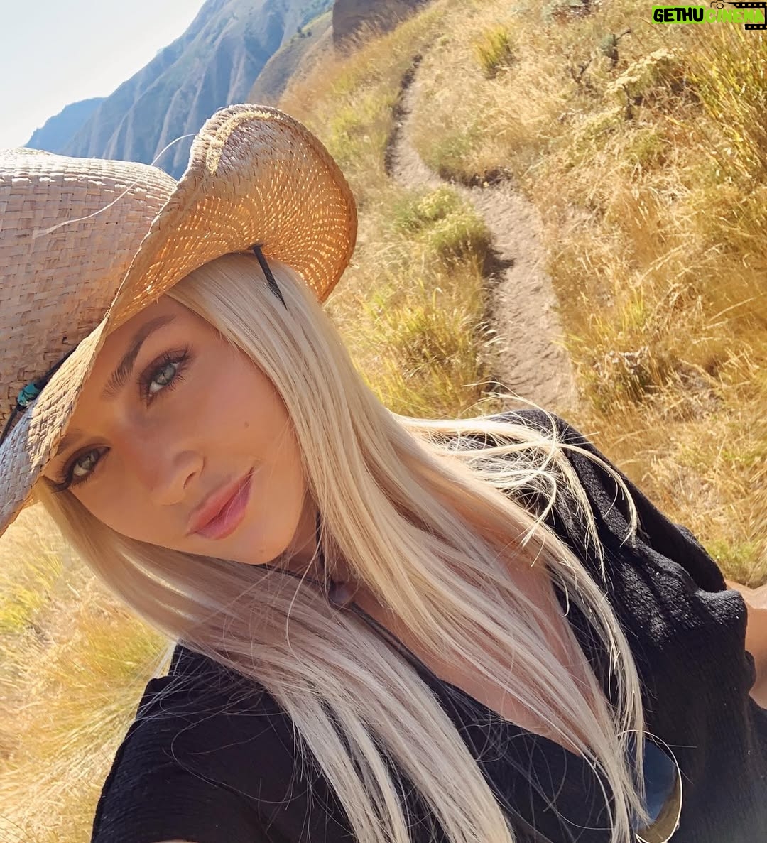 Cassidy Wolf - 2.3K Likes - 