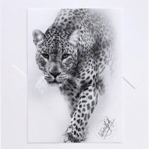 Céline Morel Instagram - - Every stroke, every shadow in this realistic drawing is an attempt to capture the very essence of this magnificent creature. Carefully framed, this drawing is much more than just an artistic representation; it's a tribute to the wild beauty that surrounds us. 

• For inquiries and pricing, please contact me via direct message.•

#Art #Panther #Realism