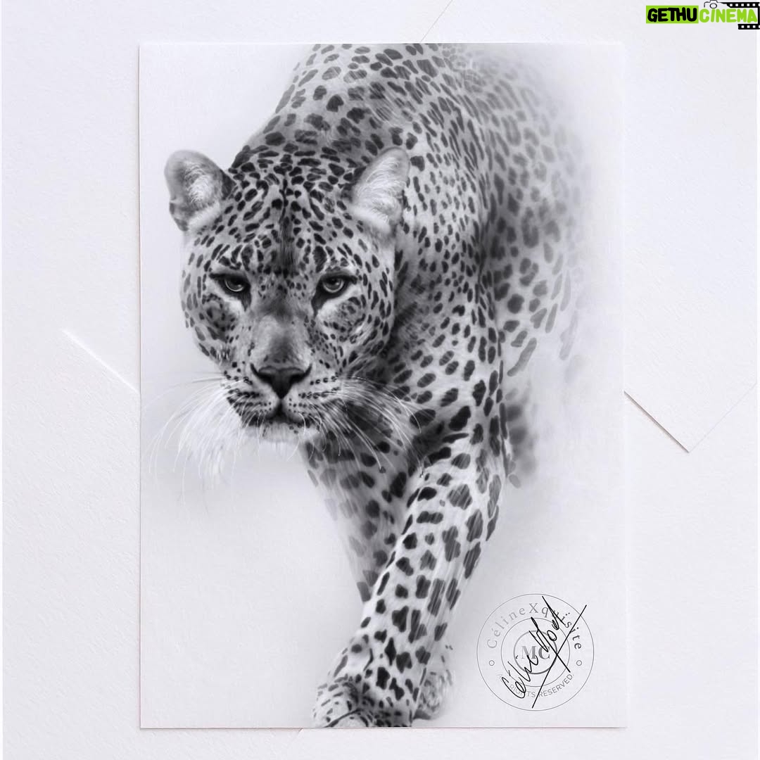 Céline Morel - 279 Likes - - Every stroke, every shadow in this realistic drawing is an attempt to capture the very essence of this magnificent creature. Carefully framed, this drawing is much more than just an artistic representation; it's a tribute to the wild beauty that surrounds us. 

• For inquiries and pricing, please contact me via direct message.•

#Art #Panther #Realism