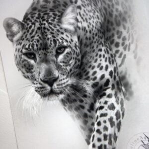 Céline Morel Instagram - - Every stroke, every shadow in this realistic drawing is an attempt to capture the very essence of this magnificent creature. Carefully framed, this drawing is much more than just an artistic representation; it's a tribute to the wild beauty that surrounds us. 

• For inquiries and pricing, please contact me via direct message.•

#Art #Panther #Realism