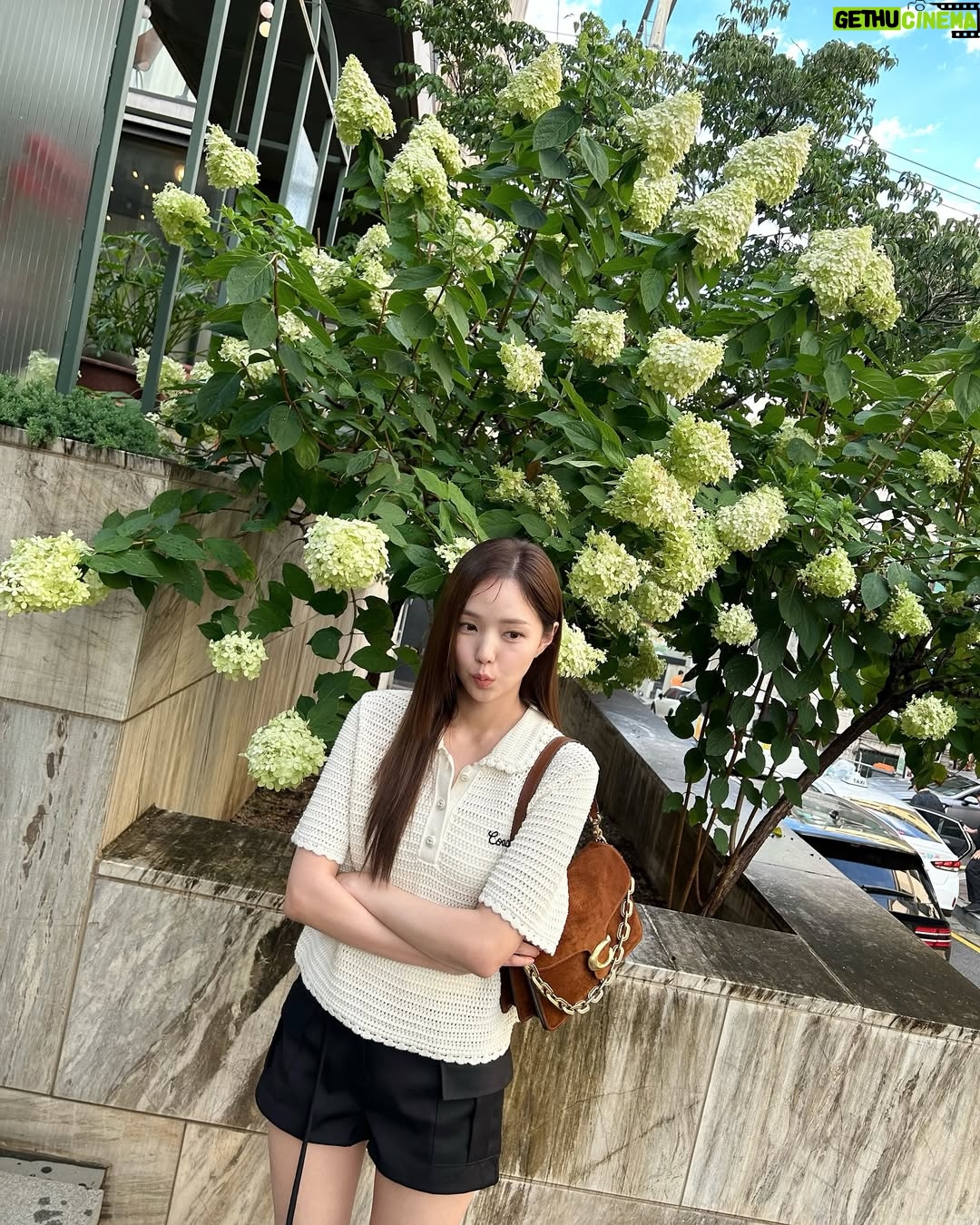 Chae Soo-bin - 401.3K Likes - #광고 @coach 푸른 여름🍀