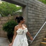 Chandni