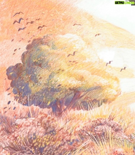 Claire Keane - 1.5K Likes - Big news! 🎉 I finally get to share the cover of my next book, WHO ARE YOU? — available now for preorder!

This book is close to my heart and is inspired by the quiet moments spent in the fields with my basset hound behind my childhood home in Canyon Country. In the following days I will update you on more exciting news - can’t wait to share more with you. Stay tuned 
✨ Preorder link in bio!

#CoverReveal #WhoAreYou #PictureBooks #ChildrensBooks #Illustration