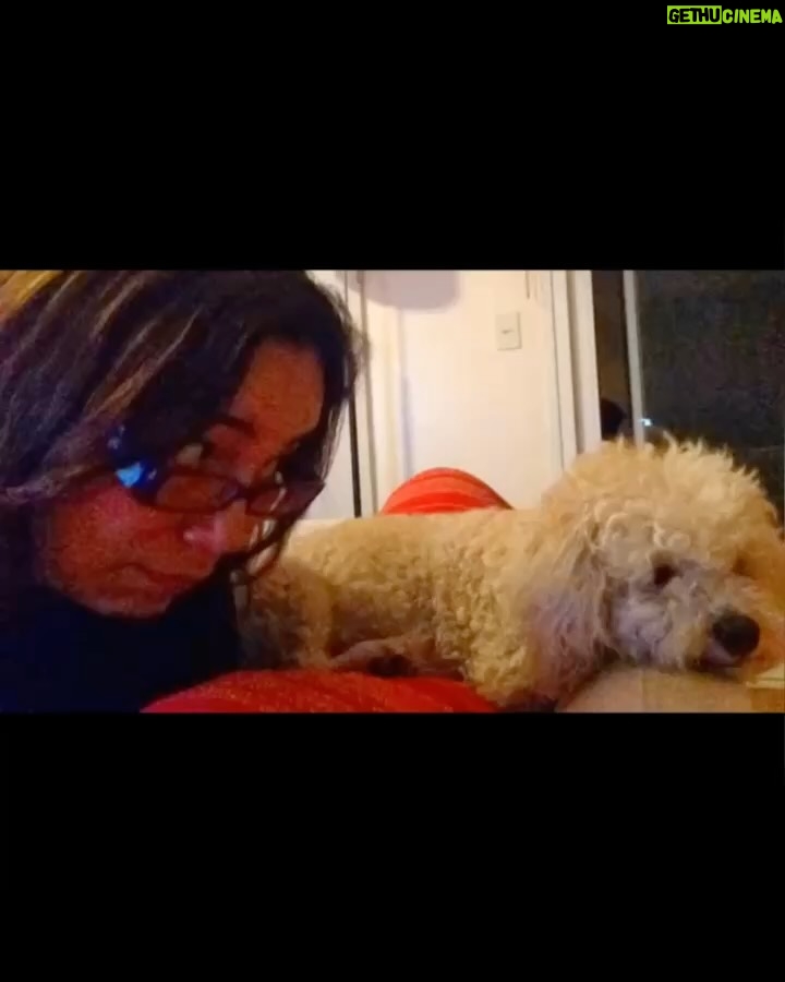 Clara Franco - 848 Likes - Se fue oveji. Ralf Alexander Franco Riquelme 🫶🏻 🐾 pasteloso. territorial. Amoroso. Ladrón. Caniche inventado por Godicho hace 15 años y robado x mamá😬😶‍🌫️🗣️😆pa nosotros. Padrastro de Newuiz y chico’i de canelita con quienes ya está en el cielo sector perritos. El sábado le soñé. A los gritos lloré xq se vino a despedir. Hoy mami nos contó que ya dejó de sufrir. Estaba viejito y con achaques varios. El sábado 18 se fue. Como canelita. Un 18. Por lo visto cuando partió vino a contarme en mis sueños. 🥲 te amaremos siempre ovieji. Gracias por 15 añitos de amor . Fue buen perrito. rezaba con papá, se refugiaba con Ceci de las bombas. Se reía. Le invadía a brunervito. Jugó mucho y tuvo varios peinados. Hasta siempre patitaz con alitas. Ral! Le decía mamá xq no quería gastar su f he’i . 🗣️ auchis. Duerme pewuito. ❤️🥹🫶🏻con permisa se me metió algo en el ojo