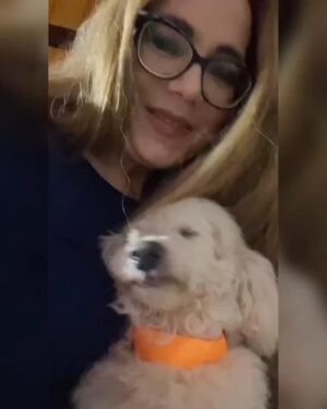 Clara Franco Instagram - Se fue oveji. Ralf Alexander Franco Riquelme 🫶🏻 🐾 pasteloso. territorial. Amoroso. Ladrón. Caniche inventado por Godicho hace 15 años y robado x mamá😬😶🌫️🗣️😆pa nosotros. Padrastro de Newuiz y chico’i de canelita con quienes ya está en el cielo sector perritos. El sábado le soñé. A los gritos lloré xq se vino a despedir. Hoy mami nos contó que ya dejó de sufrir. Estaba viejito y con achaques varios. El sábado 18 se fue. Como canelita. Un 18. Por lo visto cuando partió vino a contarme en mis sueños. 🥲 te amaremos siempre ovieji. Gracias por 15 añitos de amor . Fue buen perrito. rezaba con papá, se refugiaba con Ceci de las bombas. Se reía. Le invadía a brunervito. Jugó mucho y tuvo varios peinados. Hasta siempre patitaz con alitas. Ral! Le decía mamá xq no quería gastar su f he’i . 🗣️ auchis. Duerme pewuito. ❤️🥹🫶🏻con permisa se me metió algo en el ojo