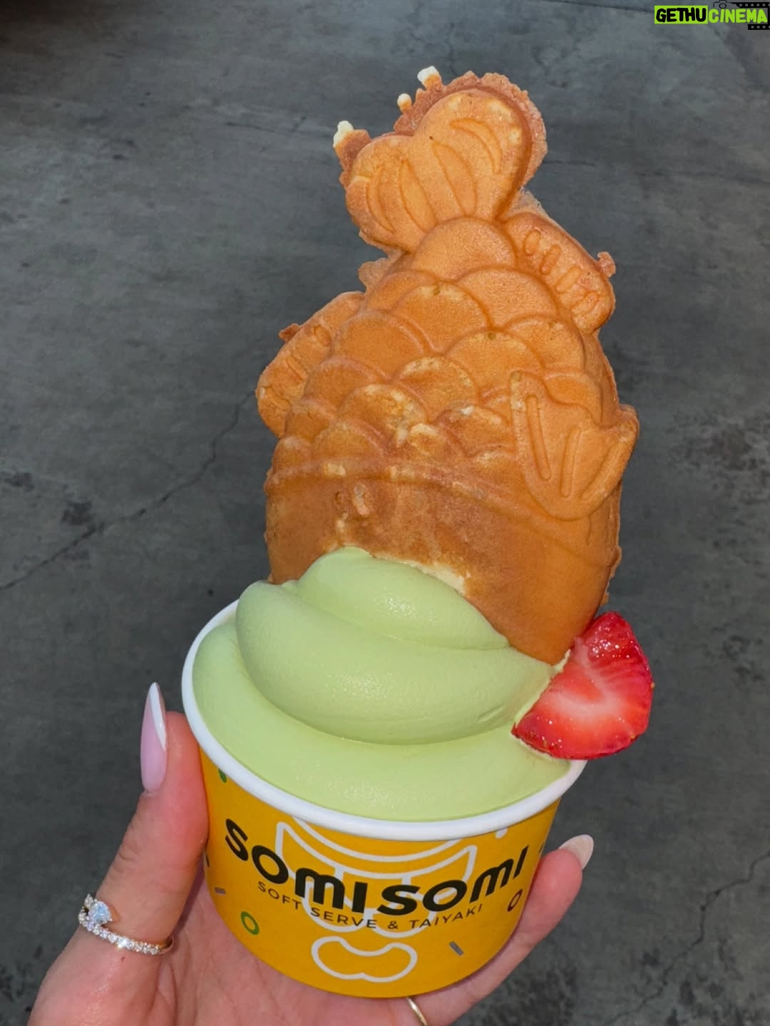 Courtney Boerner - 21.9K Likes - August dump✨🍦🫦🐈