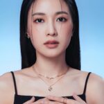 DaYuan Lin