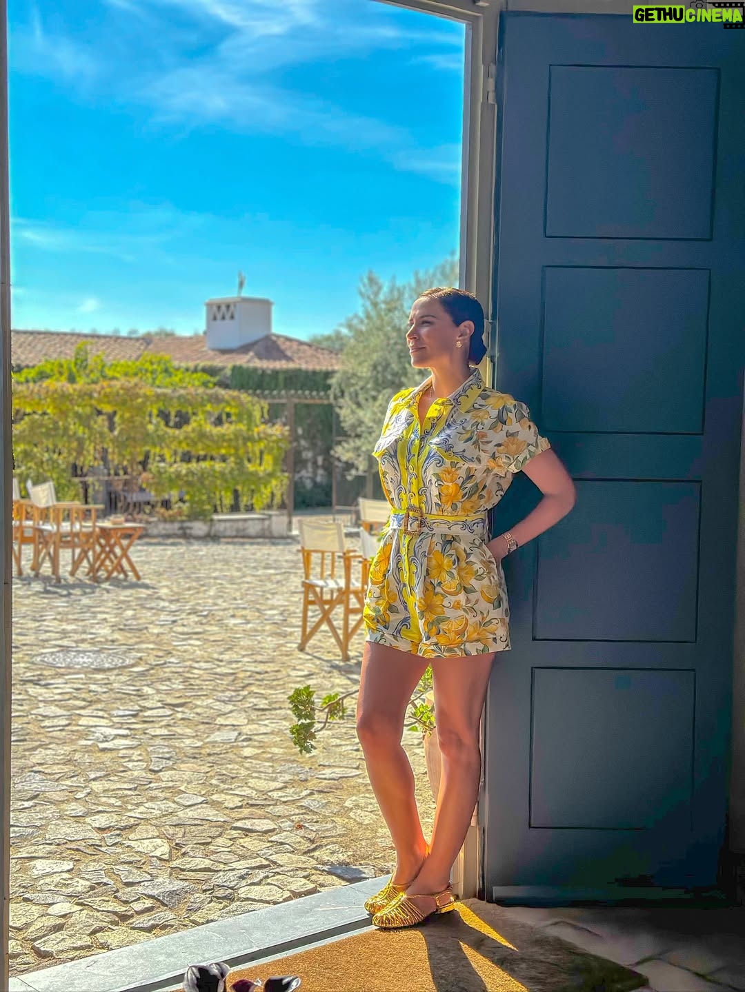 Dânia Neto - 3 Likes - 🌿🍋