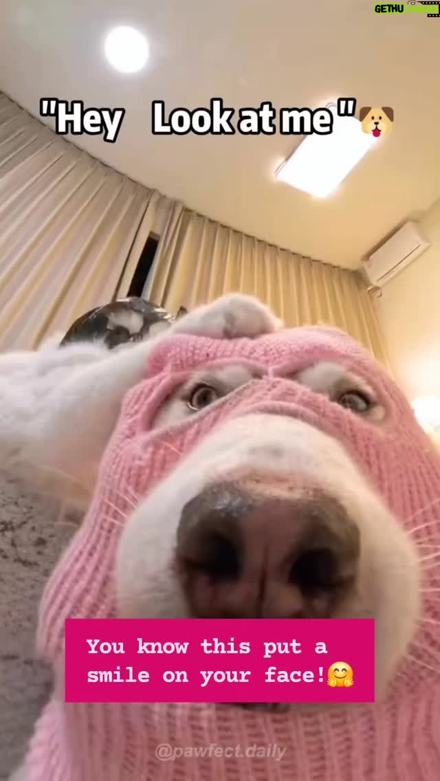 Darcy Donavan - 20.8K Likes - ✨ LAUGHTER IS TRULY THE BEST MEDICINE! ✨

Did you know that a good laugh can boost your mood, reduce stress, and even improve your health? 😄💖 When you laugh, your body releases endorphins — those feel-good chemicals that make you instantly happier and more relaxed. Plus, laughter can boost your immune system, improve your heart health, and help you connect deeper with others. ❤️🌟

So, go ahead—find reasons to smile, share a joke, or watch this hilarious video! Because feeling good starts with a good laugh! 😂🎉

#LaughterIsMedicine #FeelGoodVibes #HealthyLiving #JoyfulMoments #LaughMore