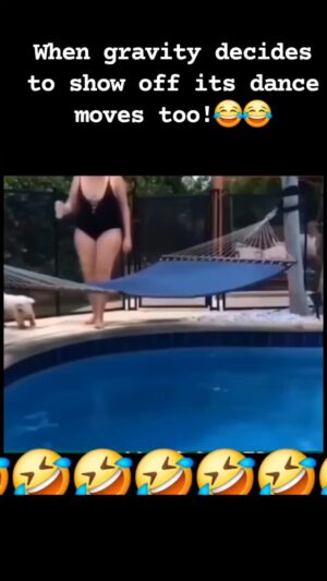 Darcy Donavan Instagram - Proof that even the universe has a sense of humor!😉
#positivevibes #funnyvideos