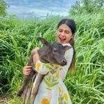 Deesha Umesh