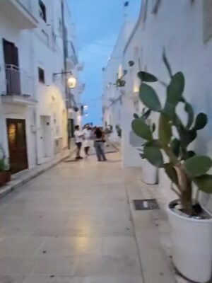 Denisa Nesvačilová Instagram - Itálie, Apulie, srpen 2025

Nálada u stolů byla je skvělá. Boží jídlo (hodně), super prosecco (dostatek, ne moc!), úchvatná architektura a historie (kromě Bari, to nás tak nebralo) a hlavně my dva (a o tom jindy)… 😜❤️☀️🚜