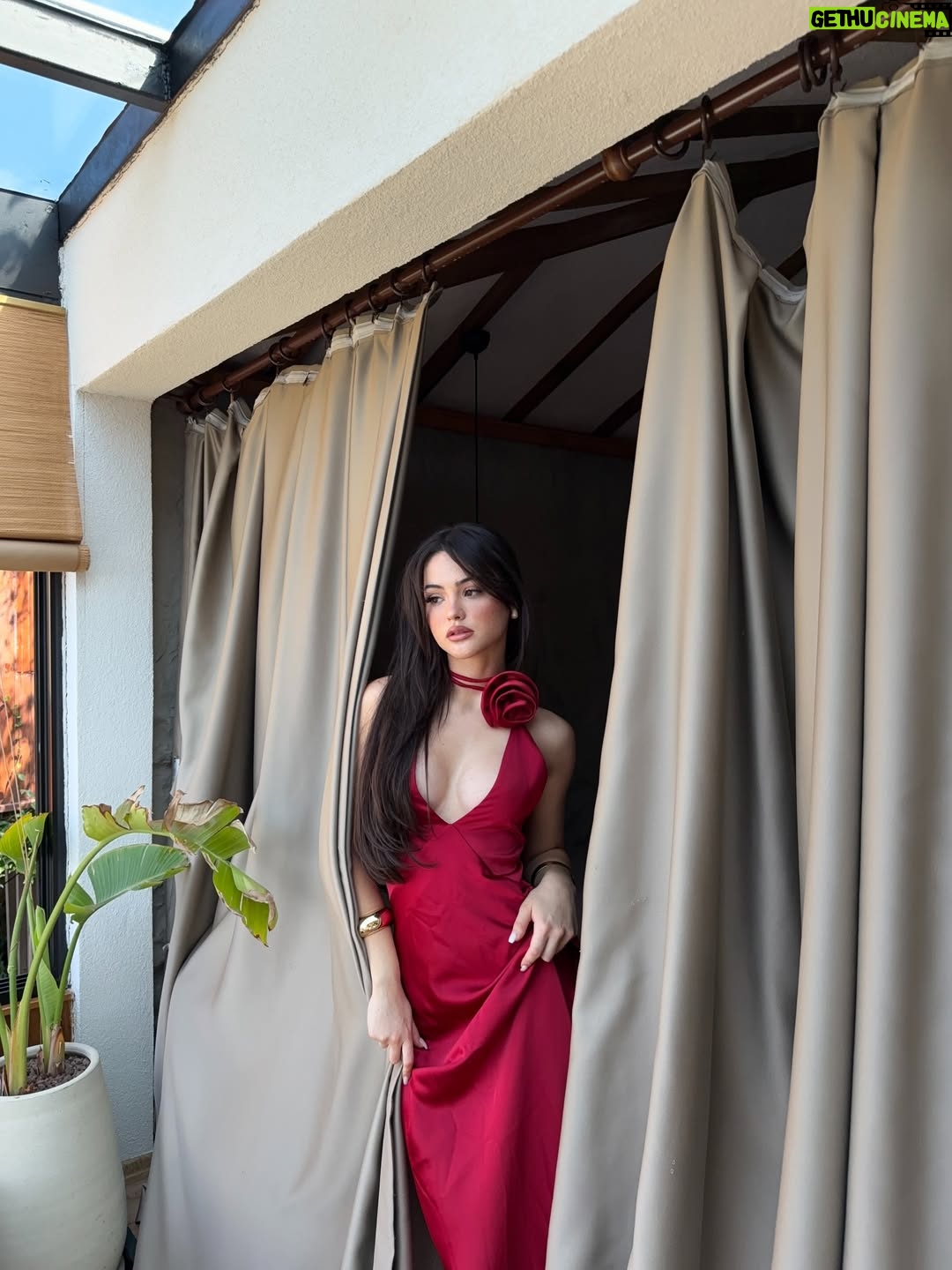 Derya Pınar Ak - 245.5K Likes - 