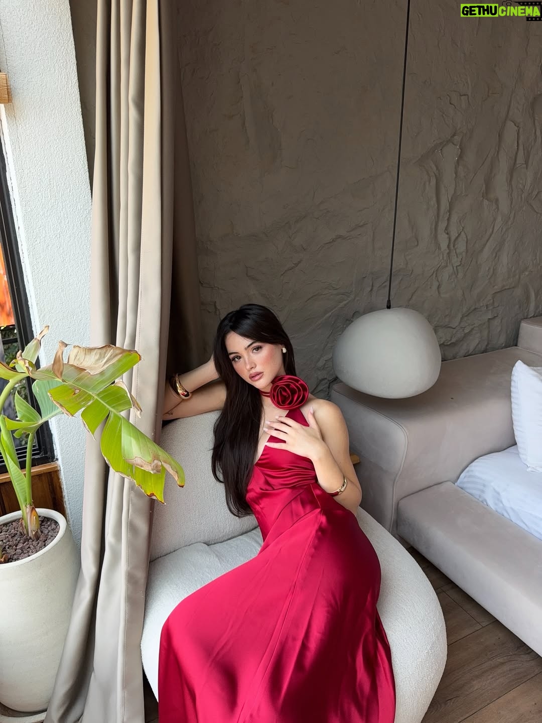 Derya Pınar Ak - 245.5K Likes - 