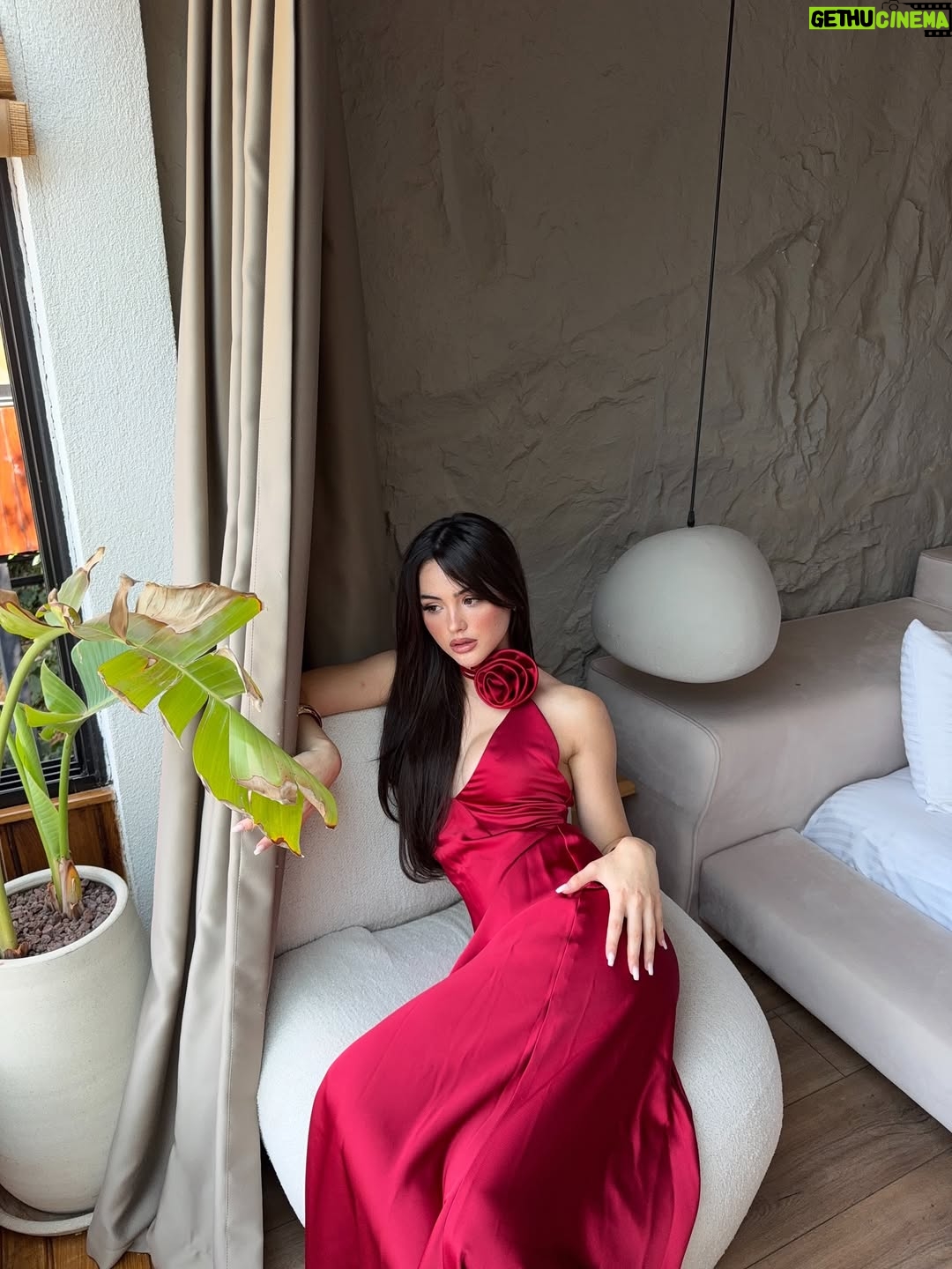 Derya Pınar Ak - 245.5K Likes - 