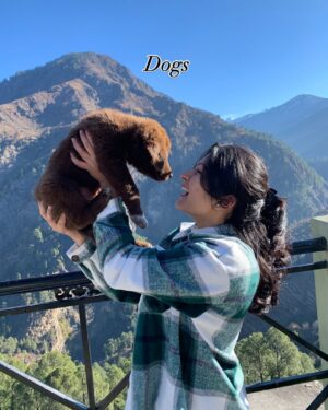 Deveshwari Negi Instagram - Does any of these include yours? š„°
.
.
.
#dopamine #dopamineboost #happyhormones #pahaadi_soul #potd #picture #pictoftheday #pictures #pictureoftheday #pic #picofthedays #mountains #sunsets #trekking #pahadi #pahadan #uttarakhand #shiva #omnamahshivay #bholenath