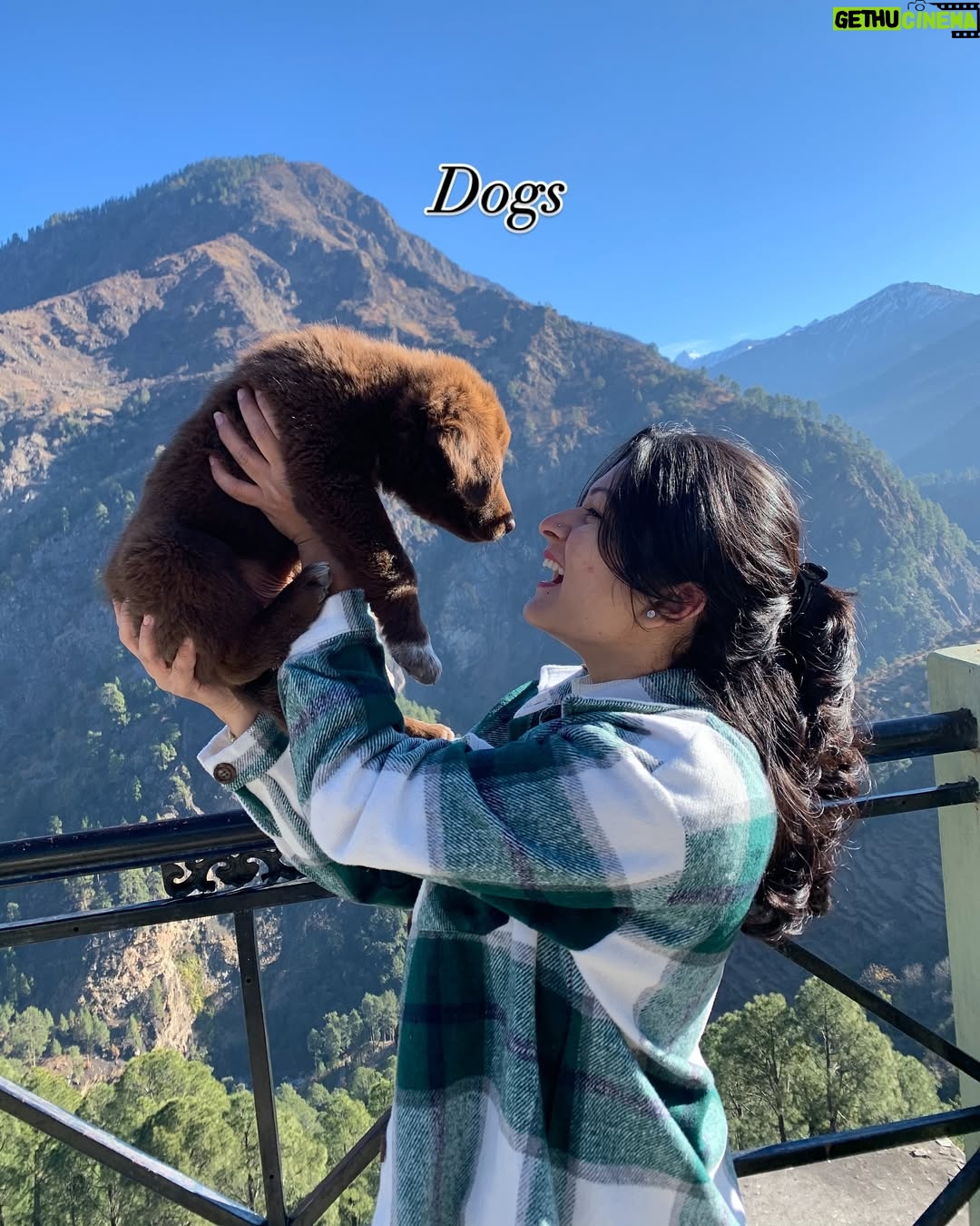 Deveshwari Negi - 2.2K Likes - Does any of these include yours? 🥰
.
.
.
#dopamine #dopamineboost #happyhormones #pahaadi_soul #potd #picture #pictoftheday #pictures #pictureoftheday #pic #picofthedays #mountains #sunsets #trekking #pahadi #pahadan #uttarakhand #shiva #omnamahshivay #bholenath