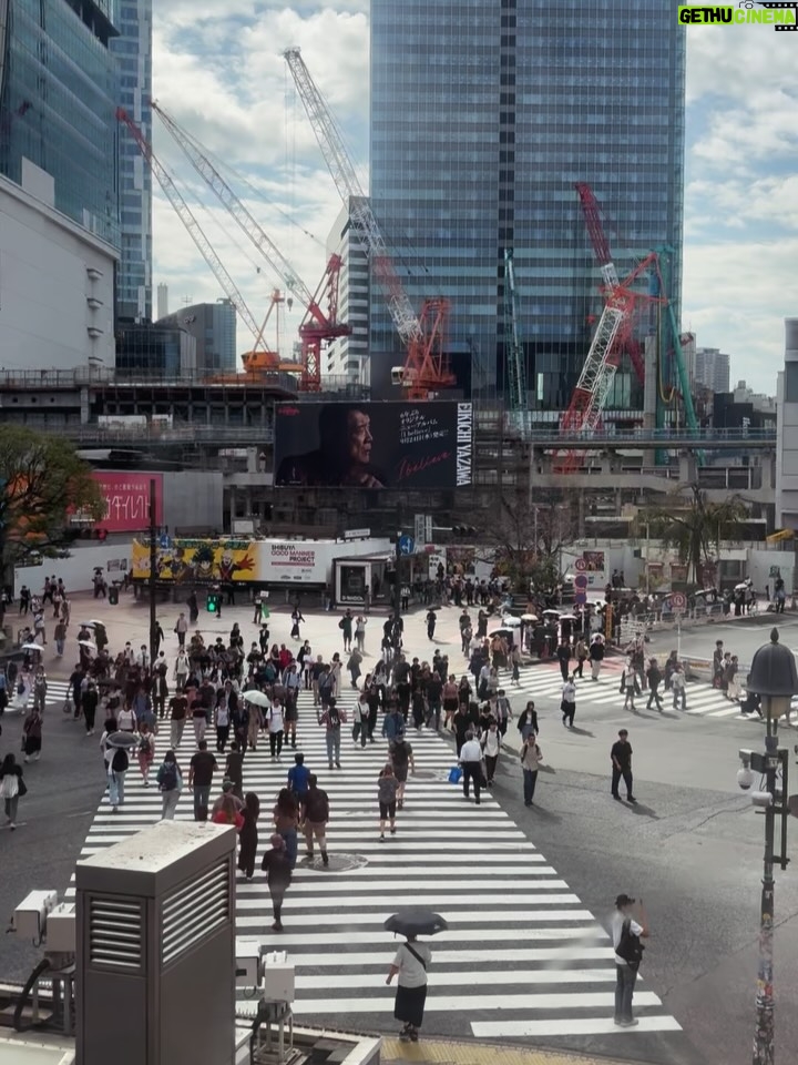 Diana Nicolau - 2.7K Likes - 24 dias depois de ter saído de Lisboa, chego a Tokyo. O destino no Japão por onde quase todos entram, mas eu quis deixar para o fim. E não me arrependo nada!

Geralmente evito ficar muito tempo nas capitais e nas cidades muito grandes porque não são representativas dos países, e por isso decidi distribuir o meu tempo por outras zonas e deixar Tokyo para o fim por várias razões. E agora sinto que já chego com bagagem sobre o Japão mas ainda continuo com muuuuitas perguntas - “You’re so curious, aren’t you?” - dizem-me. Sou, pá, deixem-me estar que eu não incomodo ninguém, só preciso de perceber o porquê das coisas. É que nunca saí dessa fase. E quanto mais descubro sobre o Japão e sobre eles, mais dúvidas tenho. 😳

E agora que cheguei a Tokyo, não quero ir embora. 😍 Kawaiiiiiii!!
A parte boa é que não vou já… Ainda tenho de aprender a fazer ramen. 😏 🍜 

Pergunta: 🙋‍♀️ 
É útil para alguém que eu compile o meu itinerário e todas as dicas de sítios, restaurantes, actividades, etc? Só a sondar 😌🤔

Arigato gozaimasu 🫶🏼🙂‍↕️ (e este emoji da vénia não é um amor? 🥹)
