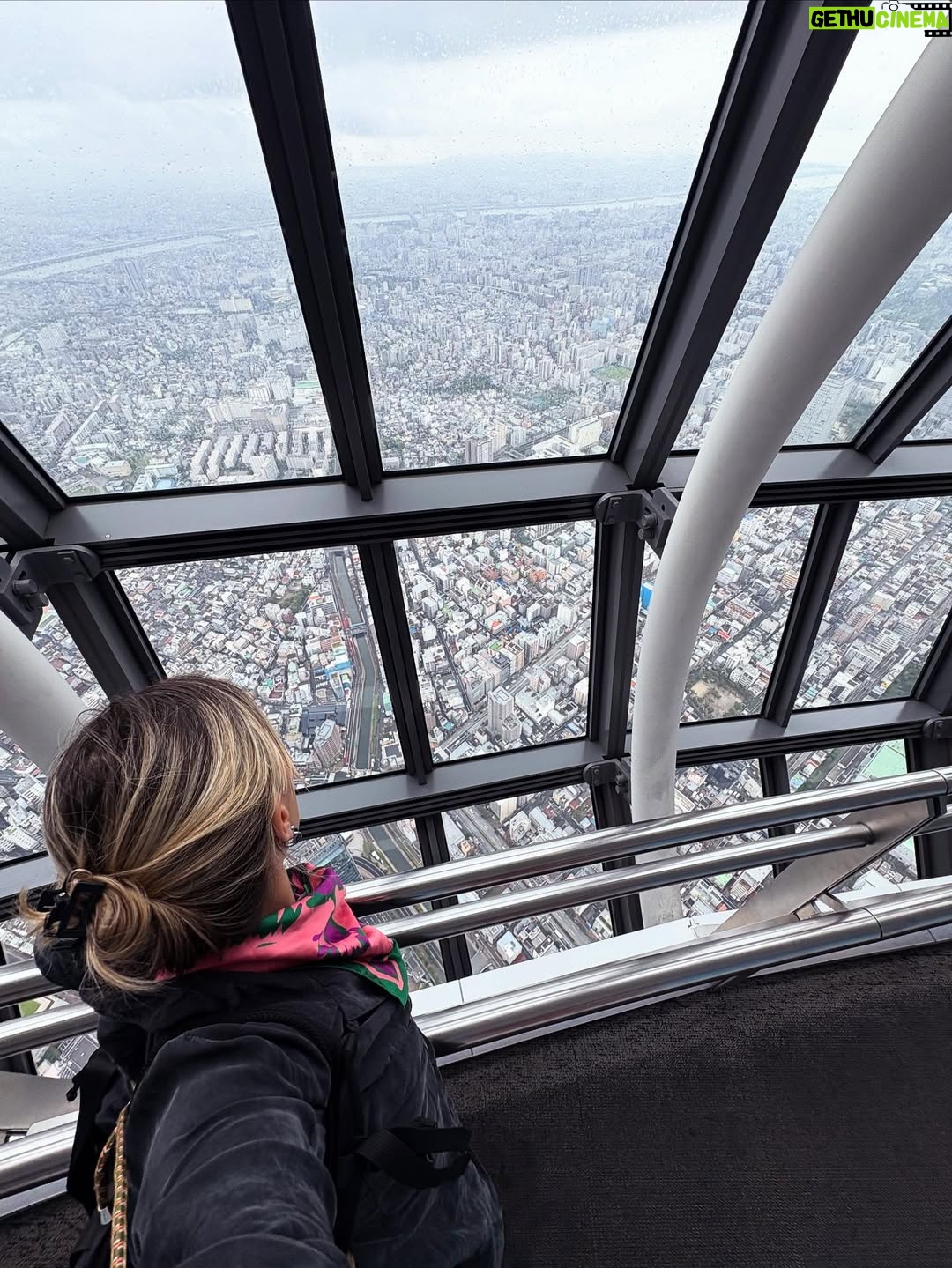 Diana Nicolau - 2.7K Likes - 24 dias depois de ter saído de Lisboa, chego a Tokyo. O destino no Japão por onde quase todos entram, mas eu quis deixar para o fim. E não me arrependo nada!

Geralmente evito ficar muito tempo nas capitais e nas cidades muito grandes porque não são representativas dos países, e por isso decidi distribuir o meu tempo por outras zonas e deixar Tokyo para o fim por várias razões. E agora sinto que já chego com bagagem sobre o Japão mas ainda continuo com muuuuitas perguntas - “You’re so curious, aren’t you?” - dizem-me. Sou, pá, deixem-me estar que eu não incomodo ninguém, só preciso de perceber o porquê das coisas. É que nunca saí dessa fase. E quanto mais descubro sobre o Japão e sobre eles, mais dúvidas tenho. 😳

E agora que cheguei a Tokyo, não quero ir embora. 😍 Kawaiiiiiii!!
A parte boa é que não vou já… Ainda tenho de aprender a fazer ramen. 😏 🍜 

Pergunta: 🙋‍♀️ 
É útil para alguém que eu compile o meu itinerário e todas as dicas de sítios, restaurantes, actividades, etc? Só a sondar 😌🤔

Arigato gozaimasu 🫶🏼🙂‍↕️ (e este emoji da vénia não é um amor? 🥹)
