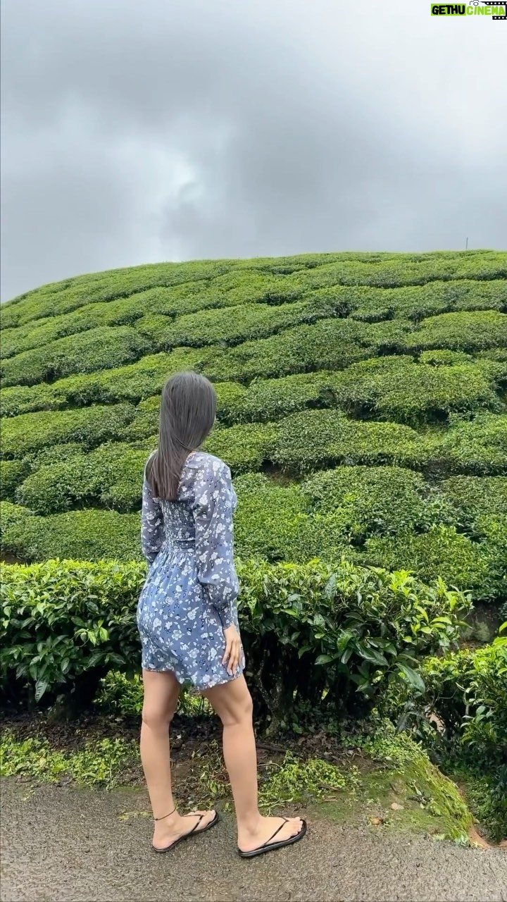 Diksha Singh - 3 Likes - 🌧️♥️🌸