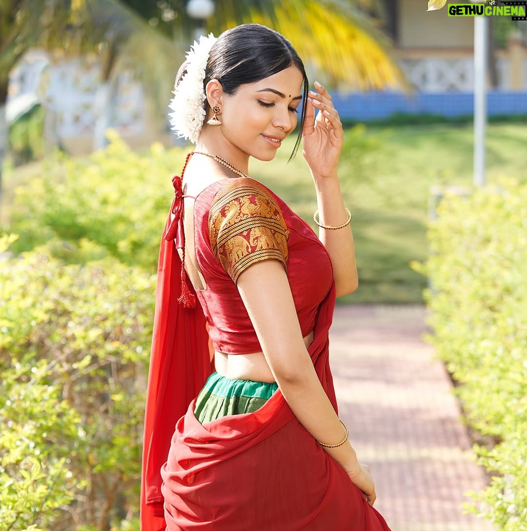 Diksha Singh - 3 Likes - South Look🤩