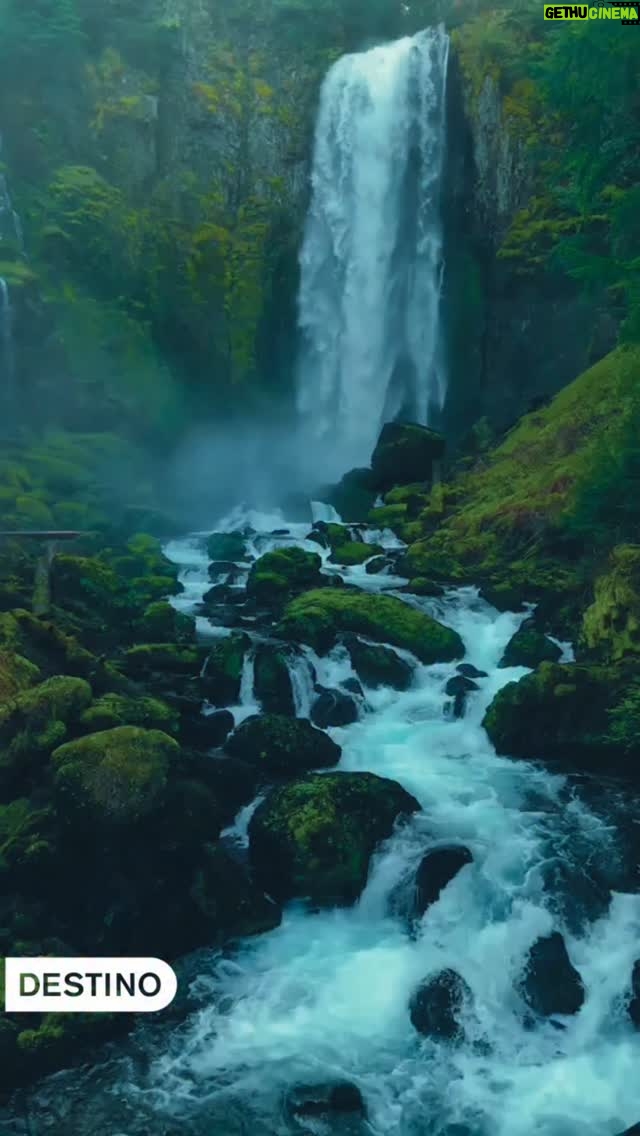 Dolores Redondo - 2.2K Likes - Dos novelas un mismo universo. 

Si habéis leído “Esperando al diluvio” y “Las que no duermen NASH”, habréis visto que están unidas de un modo casi invisible. El motivo es que forman parte de un gran  universo literario en el que Dolores Redondo lleva meses volcada: un cuarteto de novelas que la autora ha bautizado como «Los Valles Tranquilos».

Un diluvio de emociones, aventura y noches en vela. Bienvenidos a LOS VALLES TRANQUILOS 📚

Esto no ha hecho más que empezar…