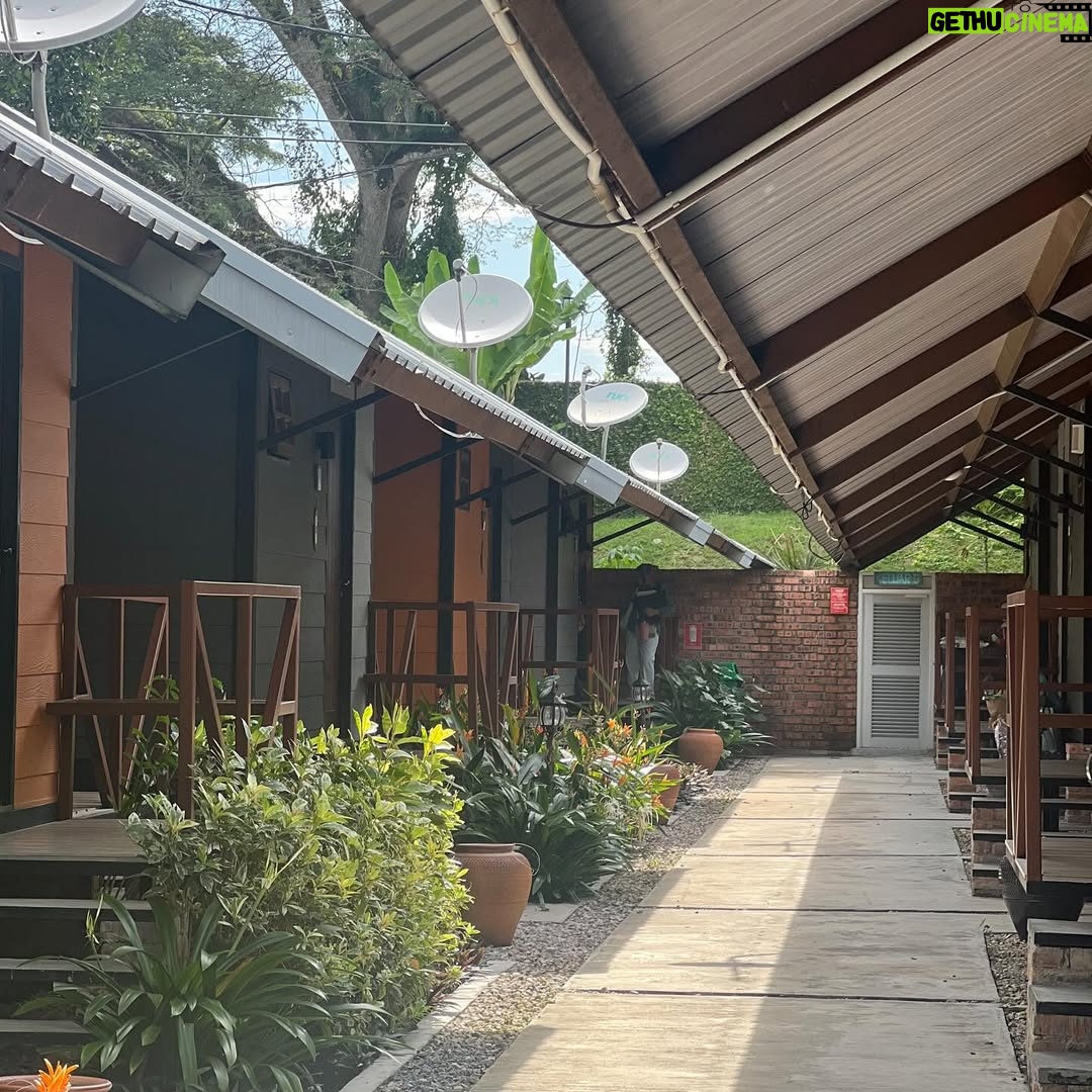 Emelda Rosemila - 1.5K Likes - Part 1.
Persinggahan yg penuh emosi.

Karai. Nama sebuah tempat yg tersemat indah dlm ingatan mel sejak kecil. Salah satu tempat yg ada dlm bucket list yg mel nak re-visit. Tempat tinggal atuk & nenek saudara yg menjadi tempat favorite mel masa kecik2 sbb ada sungai. Tahun 80an. Mel masih sekolah rendah. Bila ayah-ngah ( abg mama mel ) balik ipoh dari KL, Karai menjadi destinasi wajib. Dia akan ajak opah mel and angkut mel sekali klu cuti sekolah. Mmg suka sgt dpt pergi rumah tokcik, sbb boleh mandi sungai berejam2 smpai kena marah baru naik, jari smpai kecut2. Tapi, perjalanan menuju ke Karai tu mel tak suka, belum ada highway so kena guna jalan lama sungai siput, kdg klu bertolak malam, gelap ya amat, dikelilingi hutan & hanya bercahayakan bulan & bintang.

Dah smpai Karai pun, kena park kereta kat atas bukit, lepas tu kena jalan kaki turun bukit sbb takde laluan kereta. Jalan denai kecik jer, kiri kanan sawah padi dalam hutan banat gelap gelita. Kena menyelusuri jalan2 kecik utk sampai ke rumah tokcik yg terpencil dlm hutan. Kiri kanan tak ada rmh org. Rmh semua jauh2. 10 minit jugakla nak jalan. Mel mesti tutup mata peluk opah ketat2. Mel masih ingat perjalanan dan pengalaman itu dgn jelas, sbb ia memerlukan kekuatan mental yg tinggi utk smpai ke rumah tokcik utk budak 9 - 10 tahun. Menakutkan.😅

Rmh tokcik takde letrik. Takde tv. Klu mlm pasang lampu minyak tanah. Sebak bila membayangkan wajah2 kesayangan duduk melingkar, berbual sambil menikmati kopi kampung pekat. Gelak tawa mereka menjadi muzik indah dalam malam yg sunyi, hanya bertemankan lampu minyak tanah borak sampai lewat malam. Mel akan baring diriba opah sambil dengar org dewasa berborak. Gelak ketawa dorang masih segar dlm ingatan. Serba tak cukup, tapi sgt2 bahagia.🥹

Bila siang, dari pagi dah paksa opah & atuk bwk mandi sungai. Terpaksala dorg melayan. Klu mandi dgn atuk best sbb dia kelakar selalu entertain dgn lawak2 dia. Dia pandai tangkap udang2 kecik lepas tu terus makan. Fresh katanya😅. 

Sambung part 2.