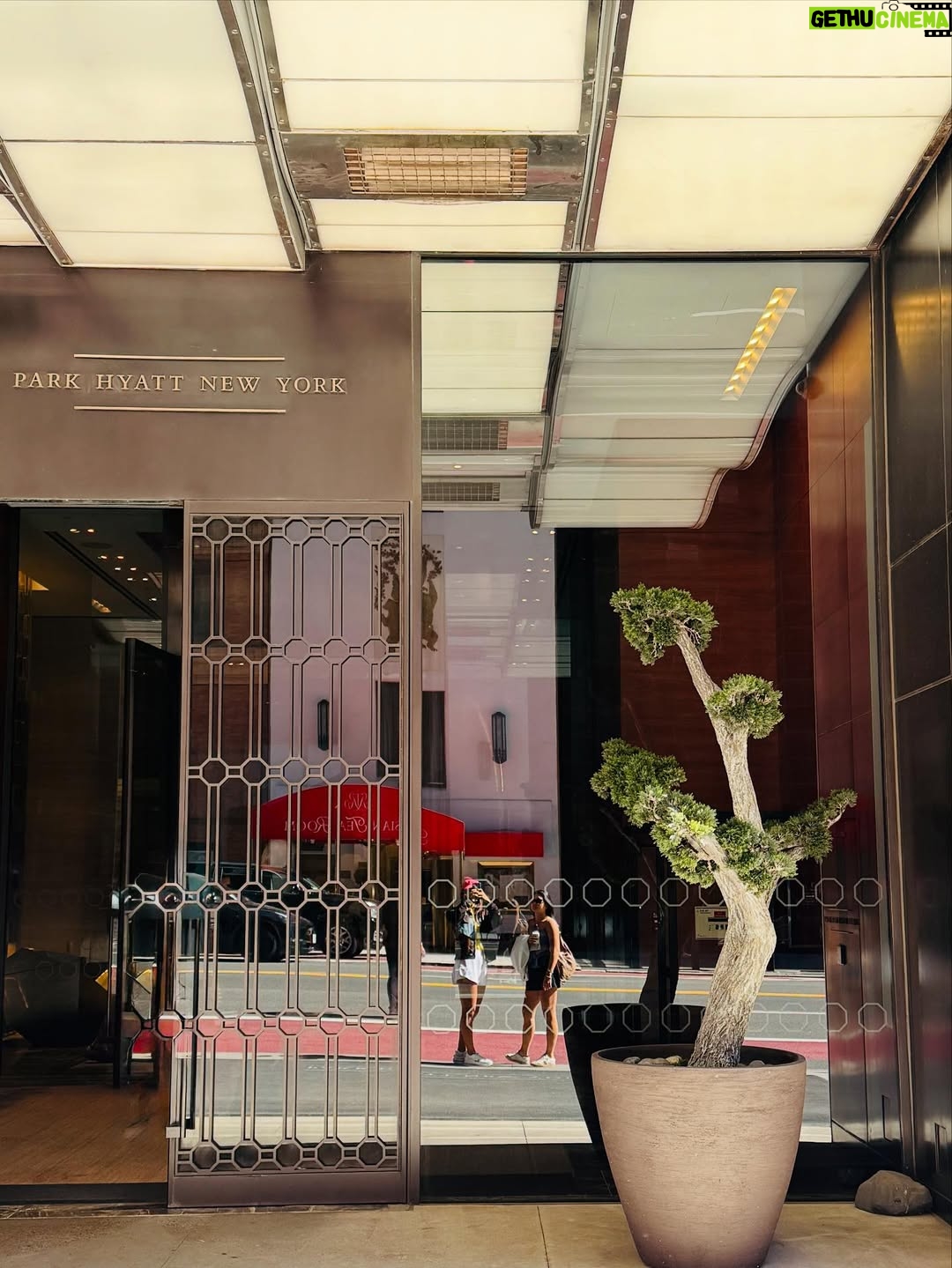 Emma Raducan - 226.3K Likes - a productive summer 🌀 progress over perfection

@parkhyattny