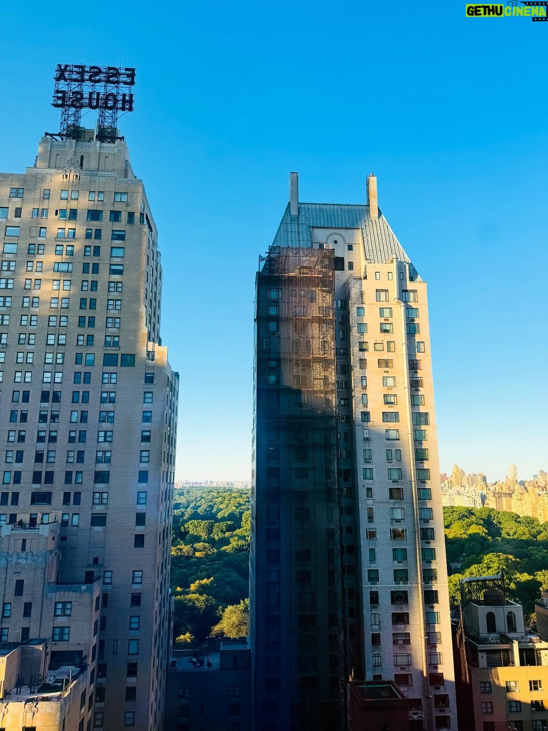 Emma Raducan - 226.3K Likes - a productive summer 🌀 progress over perfection

@parkhyattny