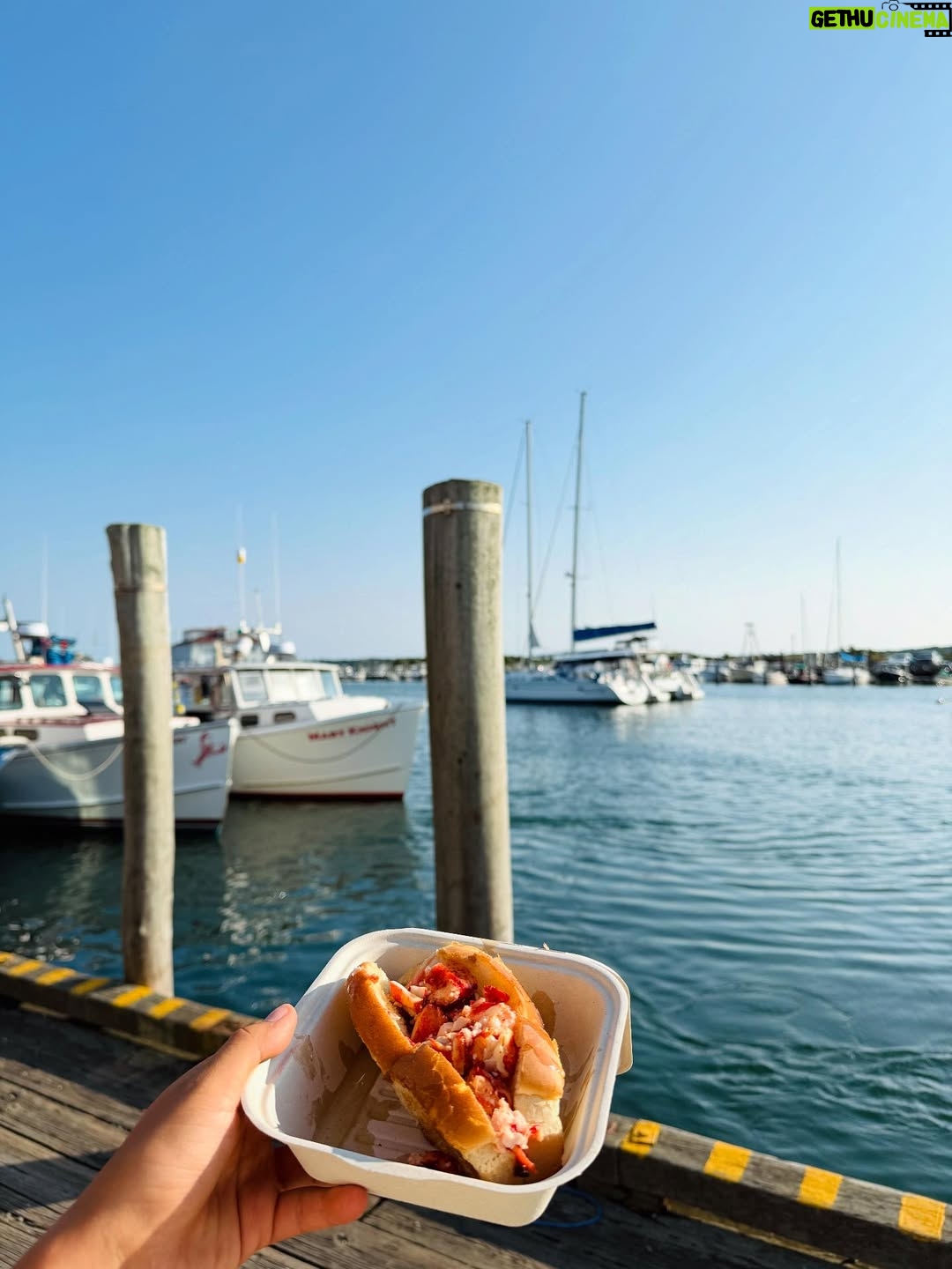 Emma Raducan - 276.6K Likes - Ted’s on the vineyard ~ heard it here first. spontaneous 36h new england summer 💛🪻 fun time w friends in MA >> 🦞!!