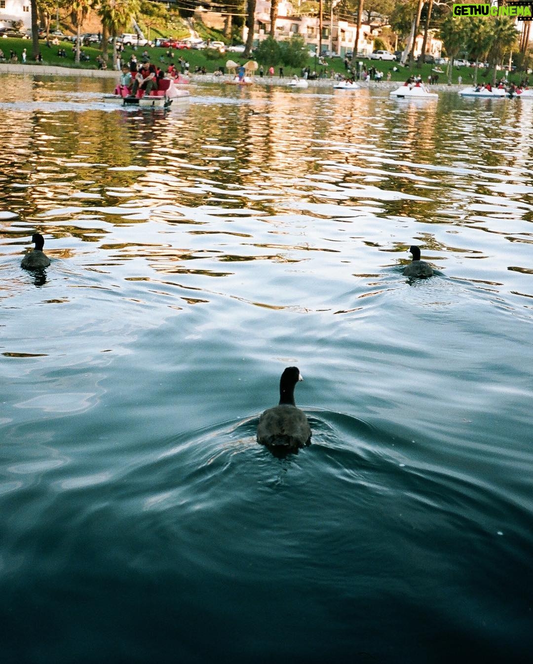 Emma Schweiger - 24.2K Likes - Echo Park•••