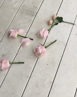 Emma Schweiger Instagram - No one knows what it means, but it’s provocative