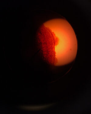 Emma Schweiger Instagram - Issa cheek cell