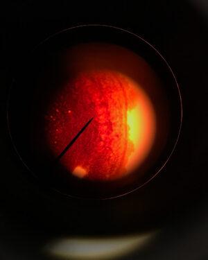 Emma Schweiger Instagram - Issa cheek cell