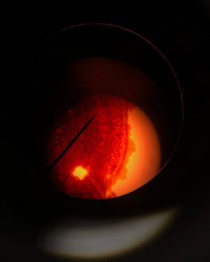 Emma Schweiger Instagram - Issa cheek cell
