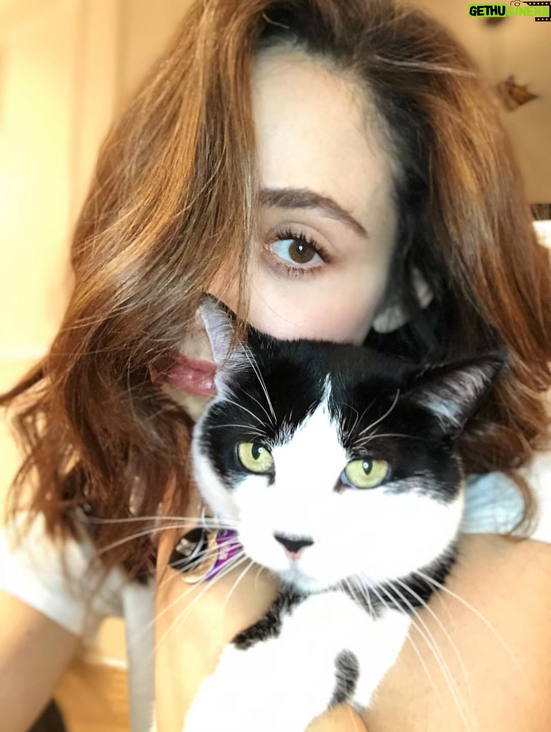Emmy Rossum - 76K Likes - Adopt your new best friend from your local animal shelter or rescue group, save a life and bring love home! Here are my two besties for over a decade, Fiona (aka Fifi, Fiona G Kitty) Pepper (aka Pepperoni, Peppertron). #nationalbestfriendsday 
link in bio
