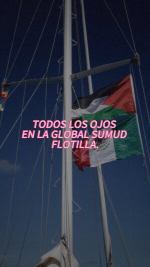 Esmeralda Pimentel Instagram - 🚨🚨🚨🚨:
13 de las 44 embarcaciones ya han sido interceptadas y secuestradas ilegalmente por la Armada del ente
gnOc1da.
4 tripulantes de la Delegación Mexicana ya han sido secuestrados: Arlin, Sol, Ernesto, y Carlos.
El ente genoc!d4 de Israel, no interceptó solo flotillas.
Interceptó medicinas, alimentos y suministros BÁSICOS.
Porque en Gaza, 2 millones de personas sobreviven en la oscuridad: hospitales sin electricidad, agua sin desalinizar, medicinas sin refrigerar.
Lo que llevaba la Flotilla Sumud no era una amenaza: era vida.
Y detenerla es reconocer el miedo a algo tan simple y tan poderoso como la solidaridad.
📢 Que no nos silencien: toca visibilizar, presionar y salir a las calles.
Porque cuando intentan apagar la luz, nos toca multiplicarla. ✊🏽🌍
.
.
.
#FlotillaSumud #FreePalestine #Gaza #Solidaridad #fyp #instagram #importante #viral #parati #mx #instagood #instagram #palestina #greta