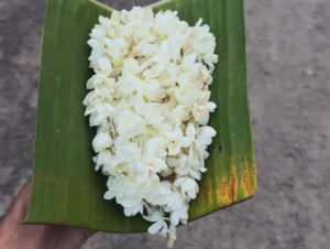 Farsana Rahman Instagram - Onam2k24🌼
#onam #sanarahman #fyp #parumala #pathanamthitta #malappuram #onamvideos #onamvibes #temple #divinevibes