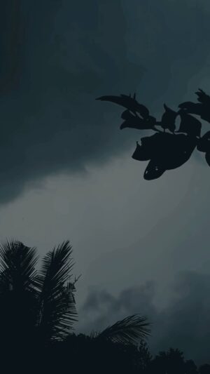 Farsana Rahman Instagram - മഴ 🌧️
#rain#mazha#mansoon#kerala#fyp