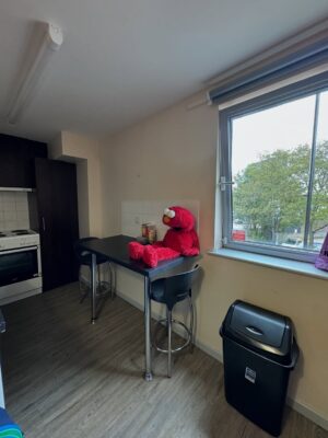 Feni Rose Instagram - Ngerasain sekelumit jarak tempuh @audikiranaa sehari2, dr kosan, ke kampus, ke mall, ke ujanan. 
Mau tidur, cuci sepre dulu 50 ribu aja 😅… jangan lupa tolak angin… orang pintar……

2 hari kemudian ibuk tepar sentrap sentrup dg sekelumit demam.