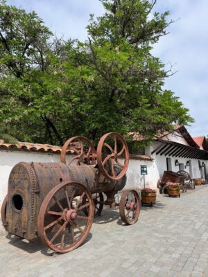Gala Caldirola Instagram - Viña Santa Rita 🌳
A solo 50 minutos de Santiago…. Seguimos descubriendo lugares hermosos de Chile 🇨🇱