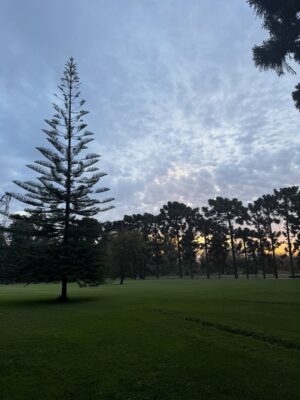 Gala Caldirola Instagram - Viña Santa Rita 🌳
A solo 50 minutos de Santiago…. Seguimos descubriendo lugares hermosos de Chile 🇨🇱