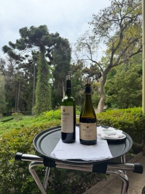 Gala Caldirola Instagram - Viña Santa Rita 🌳
A solo 50 minutos de Santiago…. Seguimos descubriendo lugares hermosos de Chile 🇨🇱