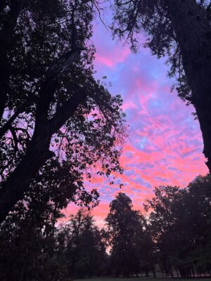 Gala Caldirola Instagram - Viña Santa Rita 🌳
A solo 50 minutos de Santiago…. Seguimos descubriendo lugares hermosos de Chile 🇨🇱