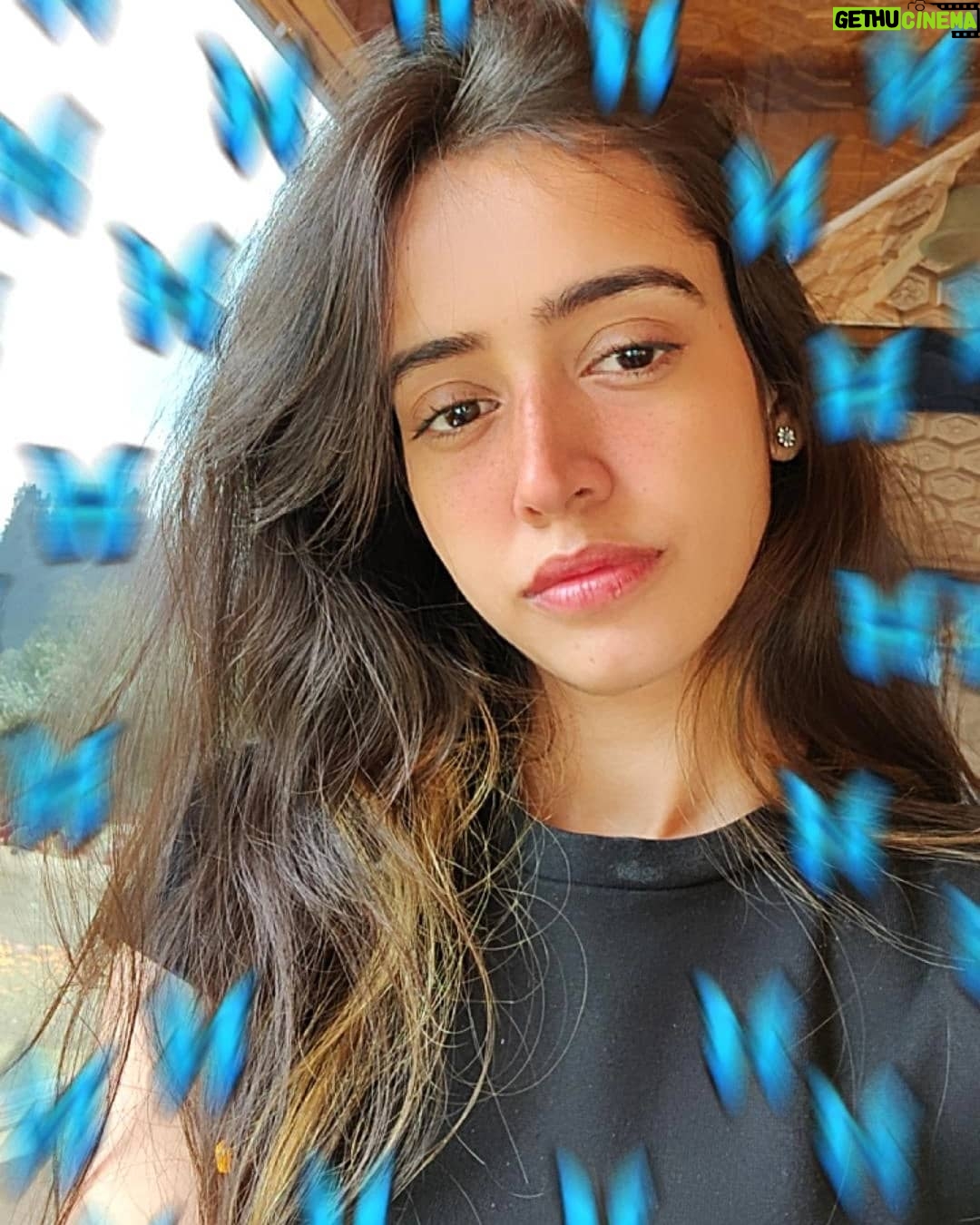 Gauri Prajapat - 2.1K Likes - Just like that🌷
.
📸 @harshit_sanghi94
.
.
.
.
.
.
.
.
#indorigauri #instafeed #kashmirtrip2021 #onhisowntrip #gulmargdiaries #gulmarg #kashmirtrip #traveldiaries #vacation #travelinfluencer #randomclick #indoregram