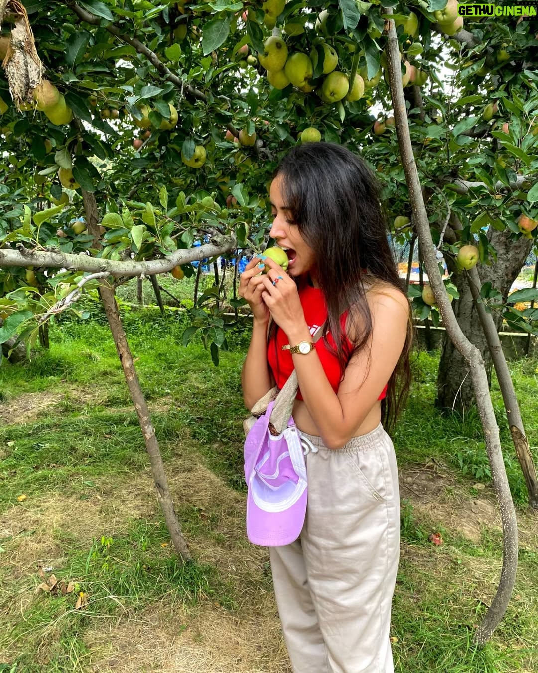 Gauri Prajapat - 2.5K Likes - Snow-white feels🍎, just need my Prince💫
.
Kashmir offbeat trip with @onhisowntrip and @capn_nero
.
.
.
.
.
#kashmirtrip2021 #onhisowntrip #pahalgam #applefarm #indorigauri #traveldiaries #kashmirdairies #snowwhite #travelgram #kashmiri #pahalgamdiaries #needmyprince #instapost #travelphotography #travelblogger #traveltheworld #indoregram #instafeed #travelsoul #travellife