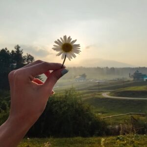 Gauri Prajapat Instagram - When we take the time to examine the beauty of the world around us, we are able to see parallels within our own lives. One who in tune with nature is in tune with the practice of living. Nature moves in a spiral as do our personal lives. It is important to spend time in nature because in this way we can become aware of its wisdom. If we ignore the beauty of nature and spend all our time in an urban jungle, our stress levels go up and we begin to feel as if we are made out of the concrete that we see all around us.
.
@onhisowntrip
@capn_nero .
This Kashmir trip was a soothing experience where I was able to detox my mind and soul. Being surrounded by trees and mountains thus make a big changes. Meeting new people helps you understand yourself more and more.
.
#kashmirtrip2021 #indorigauri #yousmarg #dragdomal #onhisowntrip #kashmir #travelgram #mountains #heavenishere #travelphotography #memoriesforlife #bondsthatgobeyond #theguyonhisowntrip #travelinfluencer #blogger #trending #trip2021 #travelmore #lovemore #famjam #lovethisplace