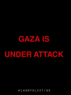 Greta Thunberg Instagram - BREAKING : Five Palestinians, including
children, were killed and several others injured in a sudden Israeli airstrike on Al-Zawaida town in central Gaza, marking a serious breach of the ceasefire.

#palestine #usa #landpalestine