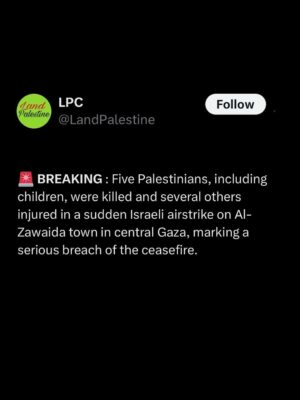 Greta Thunberg Instagram - BREAKING : Five Palestinians, including
children, were killed and several others injured in a sudden Israeli airstrike on Al-Zawaida town in central Gaza, marking a serious breach of the ceasefire.

#palestine #usa #landpalestine