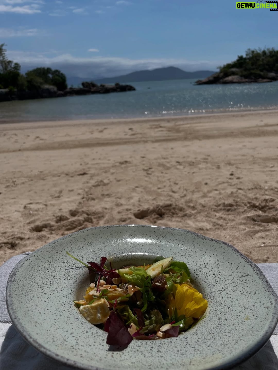 Griselda Siciliani - 49.3K Likes - Una playa, un libro, un peinado muy polémico, un plato de comida, una caipi, un amor … ( que sacó estas fotos😍)